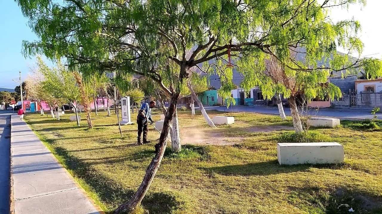 Chulea Beto áreas verdes de Cuatro Ciénegas