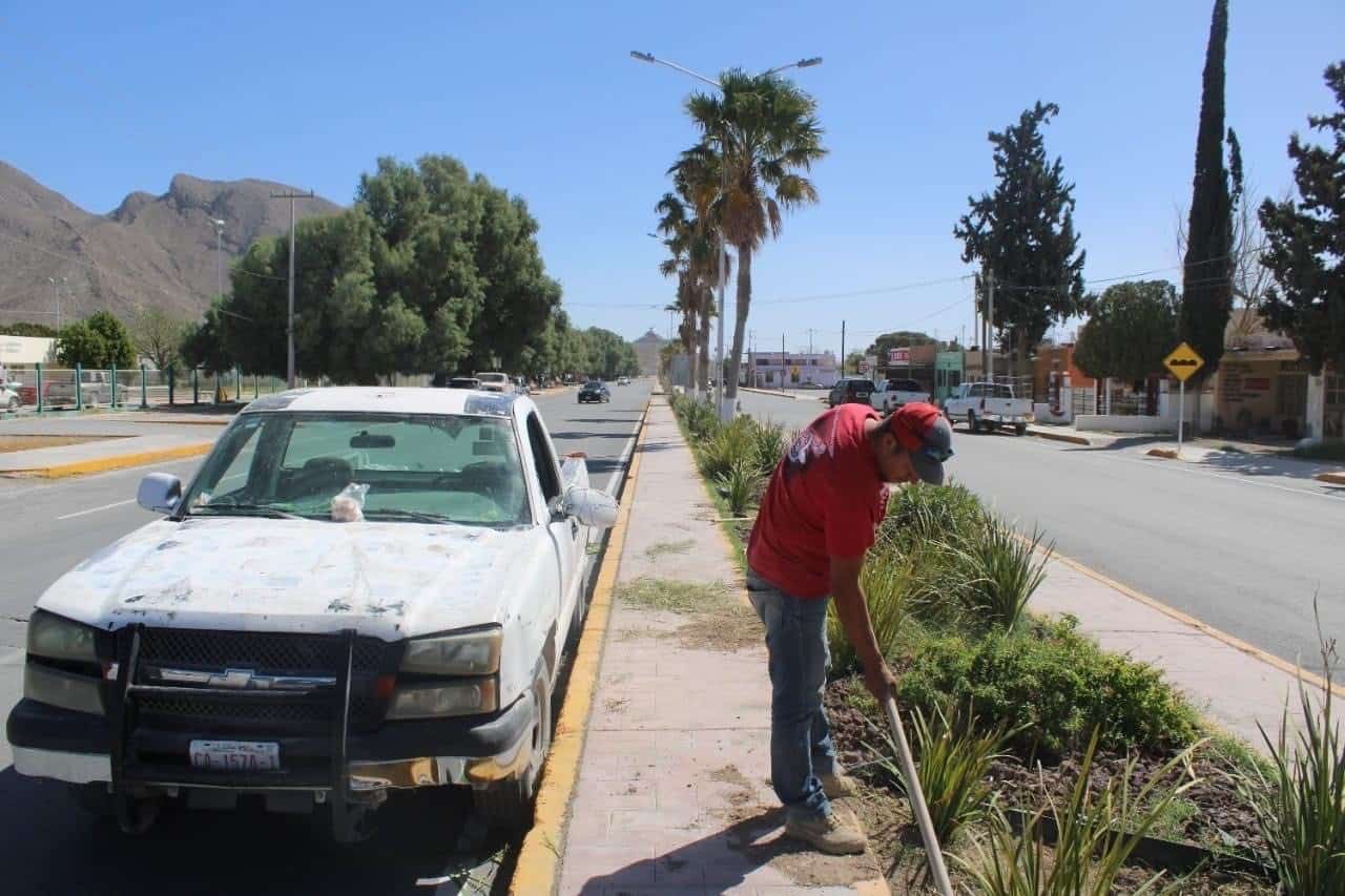 Chulea Beto áreas verdes de Cuatro Ciénegas
