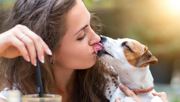 Los besos de perro pueden contagiar una superbacteria letal para los humanos