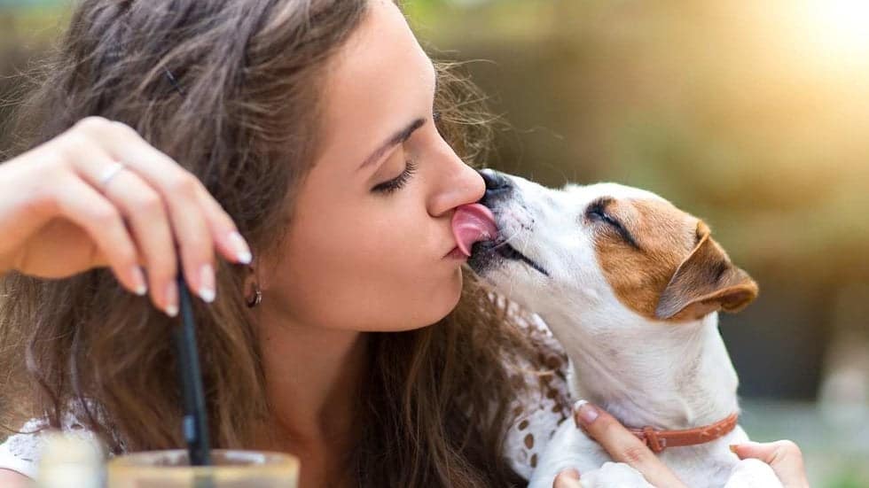 Los besos de perro pueden contagiar una superbacteria letal para los humanos