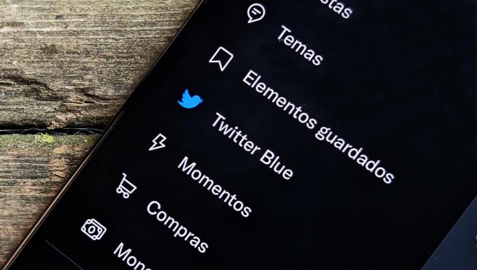 Elon Musk pide poder pagar Twitter Blue con Dogecoin