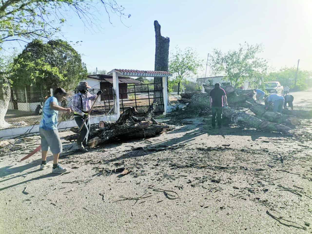 Ya no hay problema de basura en las colonias