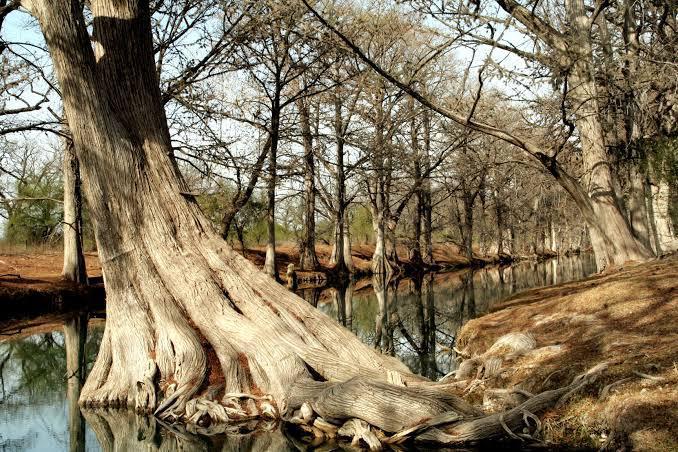 “Privatizan” notarios corruptos Río Sabinas