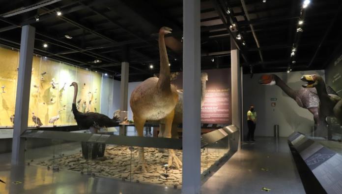 Invitan a turistear en Saltillo
