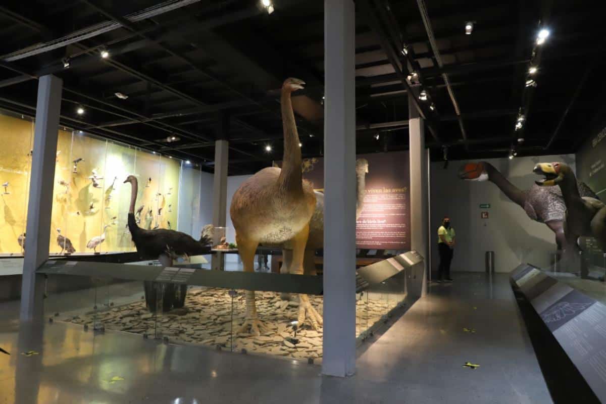 Los museos de Saltillo son algunas de las atracciones turísticas.