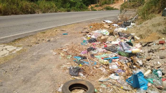Piden a paseantes no arrojar basura