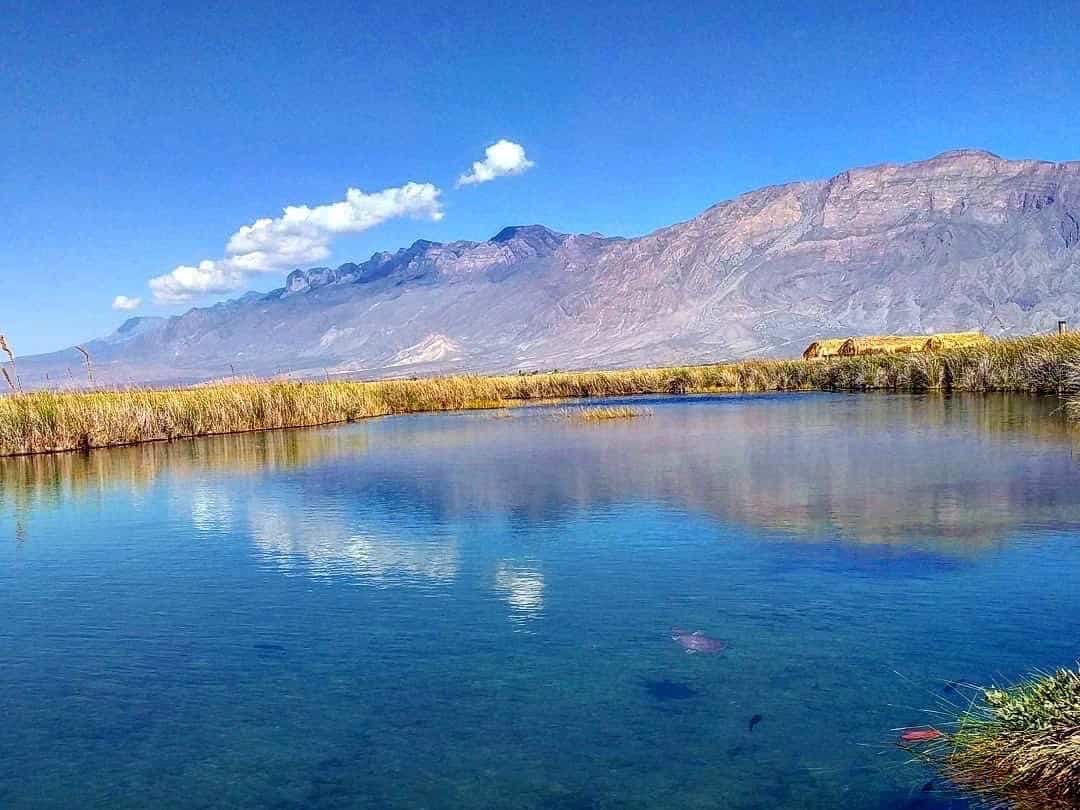 Disfrutan turistas de  “Luna Rosa”