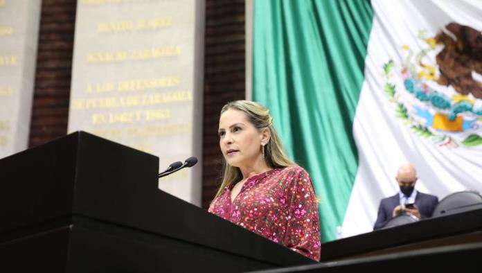 La Reforma Eléctrica era un retroceso para el país: Cristina Amezcua
