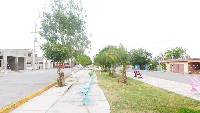 Frontera: Embellece Piña áreas verdes
