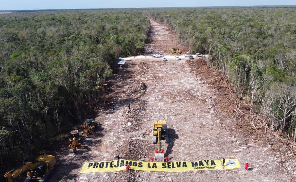Famosos piden reunirse con AMLO en el Tramo 5 del Tren Maya