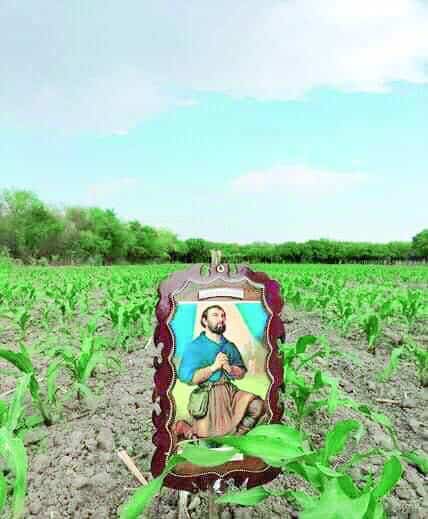 La imagen de San Isidro Labrador Luce en los campos.