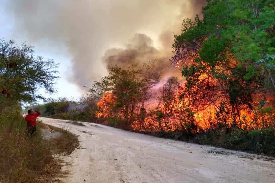 Poderoso incendio consume selvas de Quintana Roo y Campeche