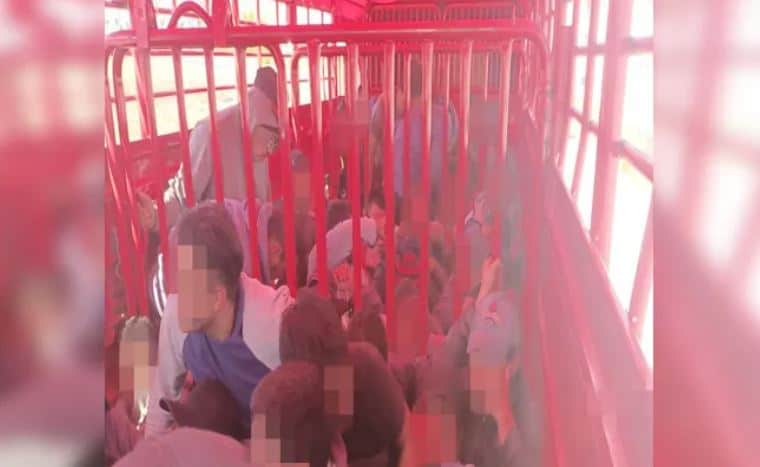 Rescatan a 174 migrantes en un tráiler y en remolque ganadero