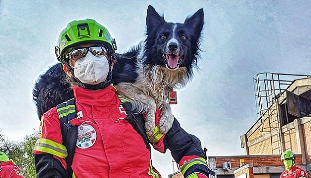 Llevan a juicio a hombre que enveneno a perros rescatistas en Querétaro