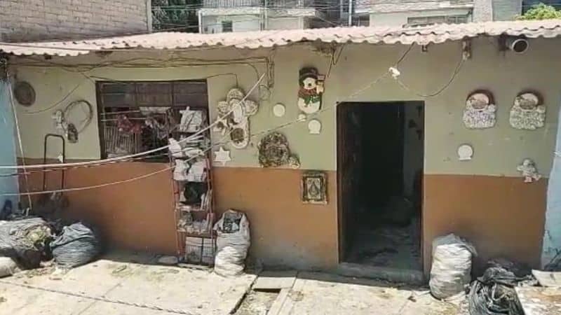 Detiene a carniceros que vendían carne de perro para hacer tacos