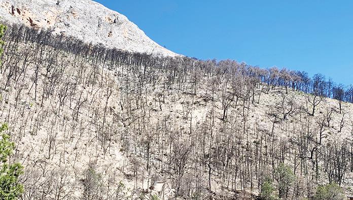 Intentan rescatar a “La Pinalosa”