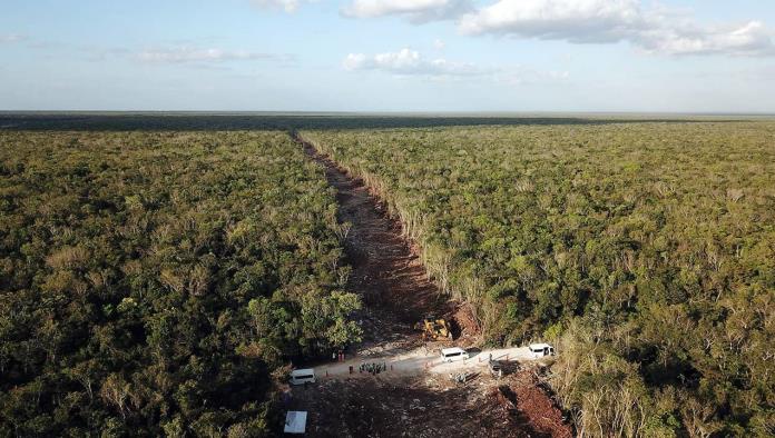Greenpeace México presenta demanda contra el Tramo 5 del Tren Maya