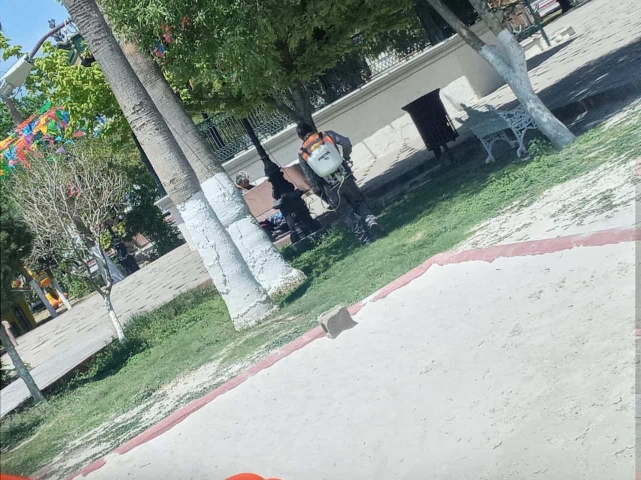 Se llevó a cabo la fumigación en la plaza principal.