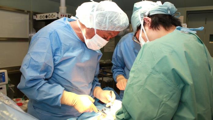Obtendría el Amparo Pape licencia para procurar órganos