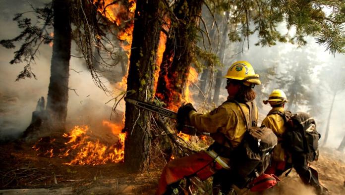 Previenen incendios forestales