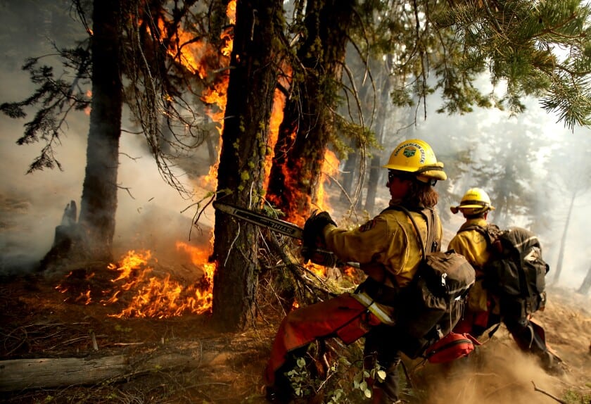 Se recordó que entre las acciones que establece el mencionado programa, están la prevención, la detección y el combate a incendios forestales.