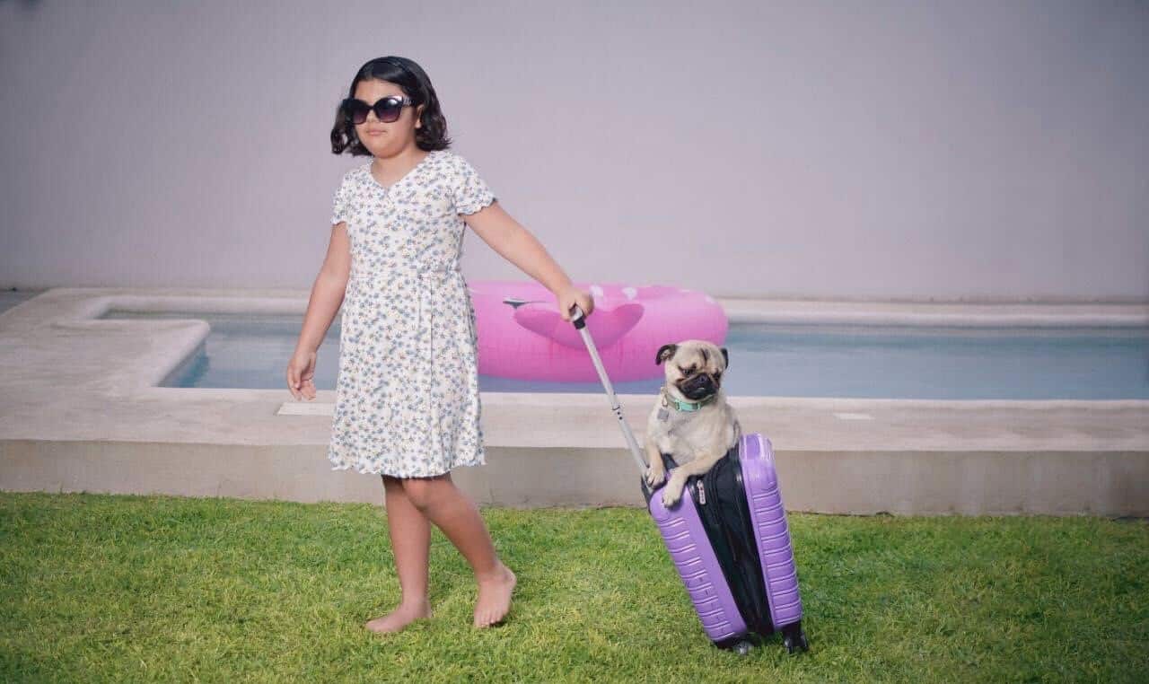 Estuvieron Inspiradas en  las aventuras que viven con sus mascotas.
