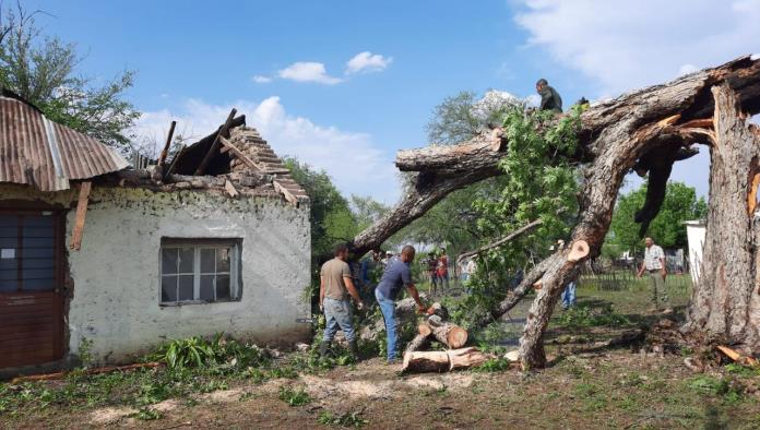 Múzquiz: Derriba tormenta nogal de mascogos