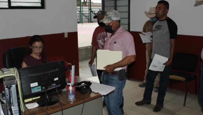 Activa Castaños Modulo canino de esterilización a bajo costo