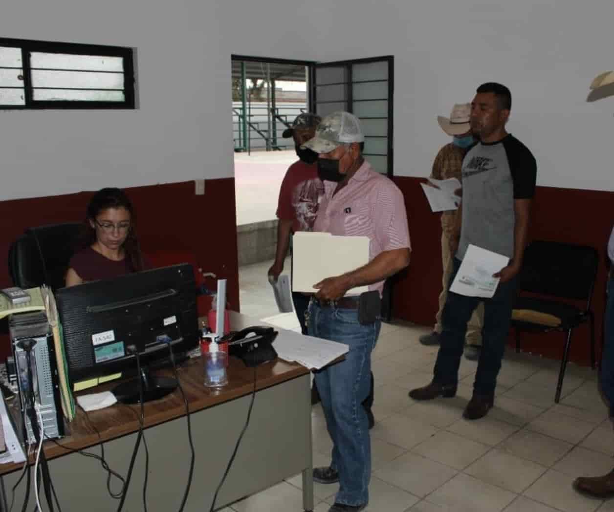 Activa Castaños Modulo canino de esterilización a bajo costo