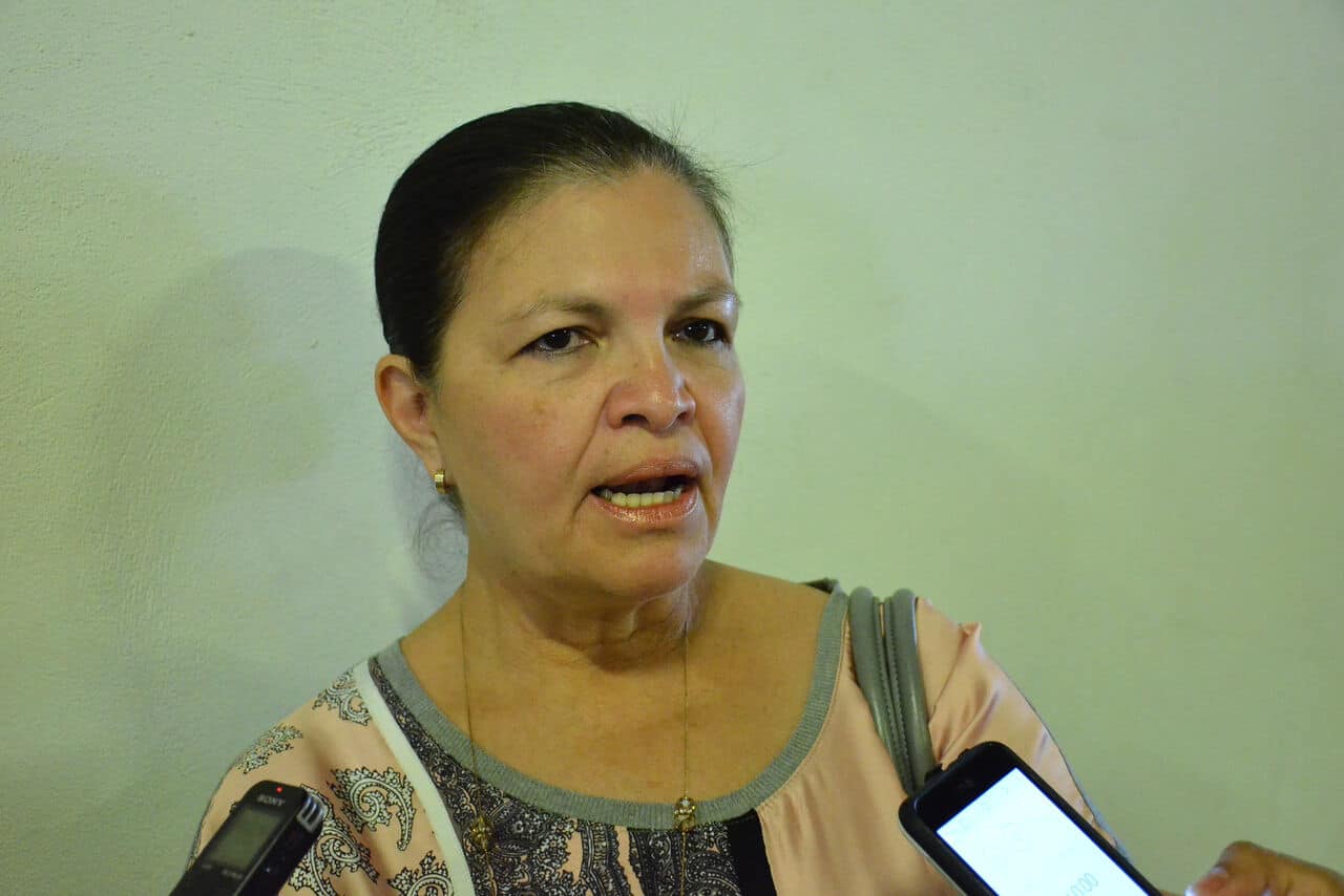 La Diputada Luz Natalia Virgil Orona, del Partido Acción Nacional.