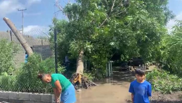 Agradece a Dios vida de sus hijos