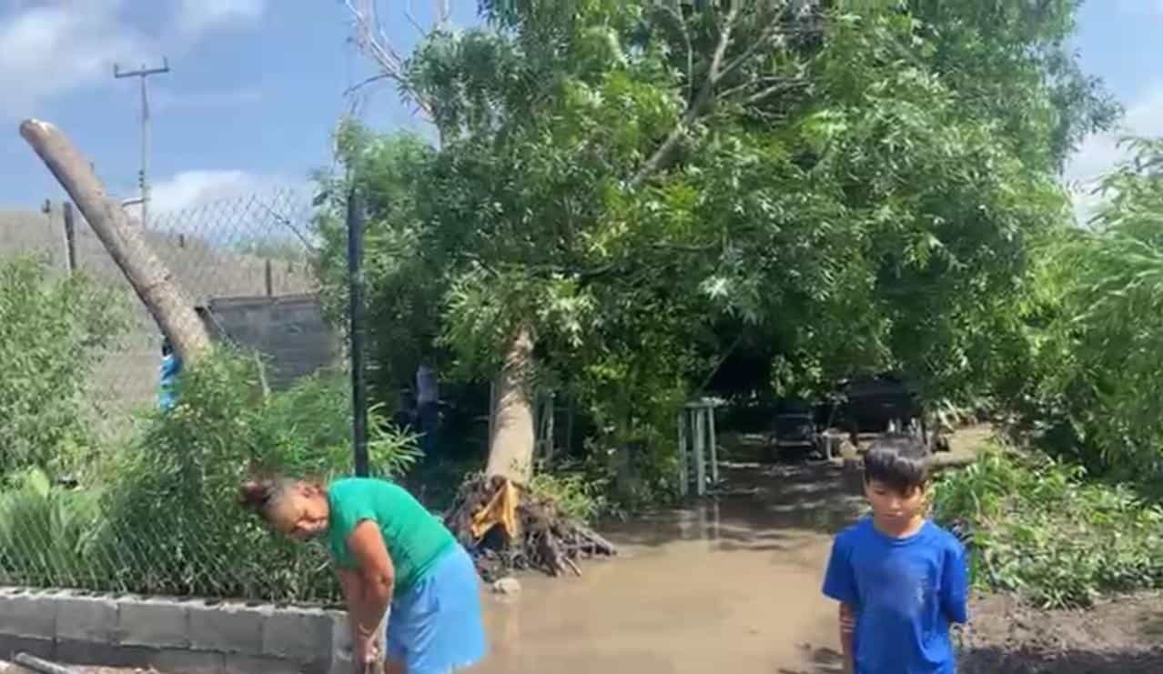 Sus hijos se encontraban solos en casa cuando colapsó un árbol.
