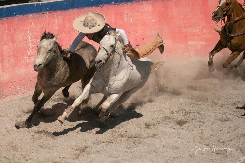 Los encuentros se llevan a cabo en Arteaga.