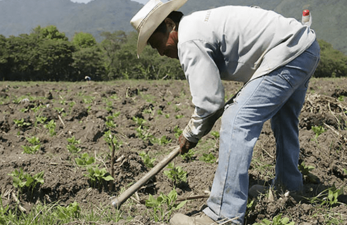 Las familias de comunidades rurales se ven afectadas por la inflación.