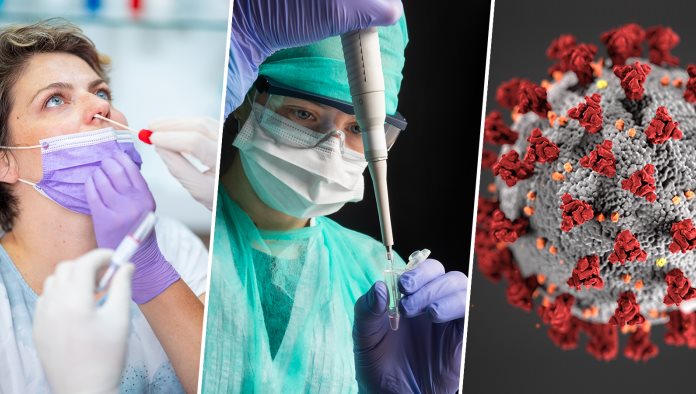 Coronavirus MERS, más letal que el COVID-19, reaparece en Qatar
