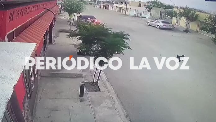 Empleado de SIMAS atropella a perro y huye