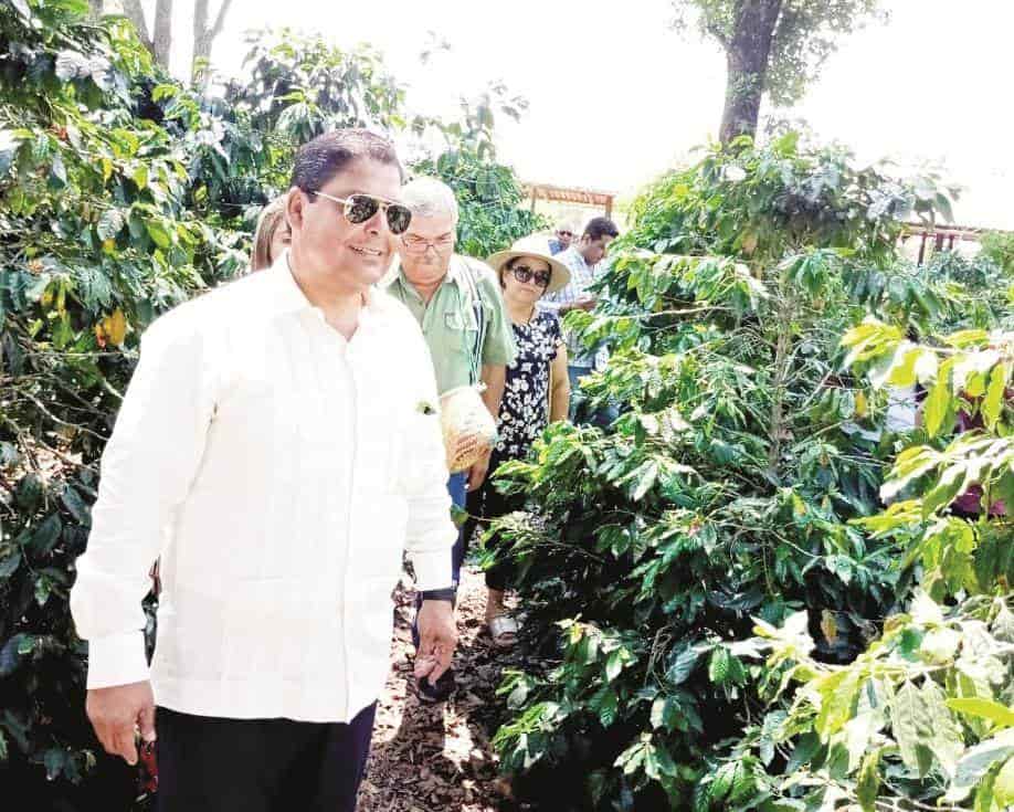 Recorre Beto Ruta del Café en Puebla