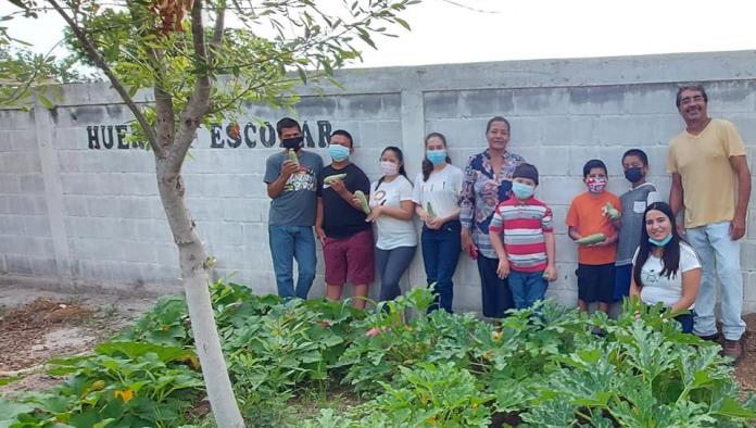 Cosechan alumnos CAM sus primeras calabazas