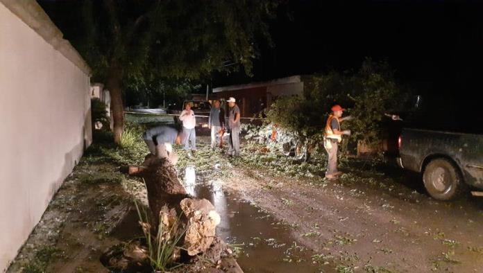 Evalúan daños tras tormenta