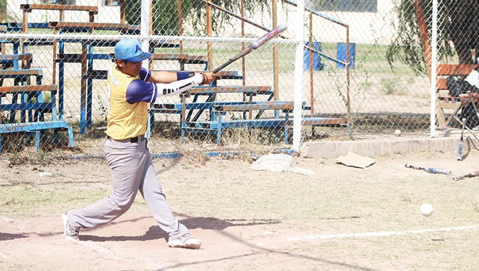 Eliminan a los Osos