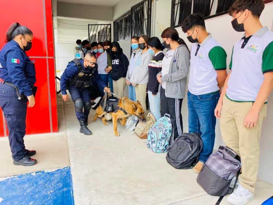 Continúan con operativo “Mochila Segura”, Tras hechos ocurridos en el estado de Texas