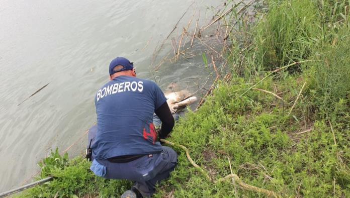 ¡Y en Piedras Negras hallan a otros cinco!