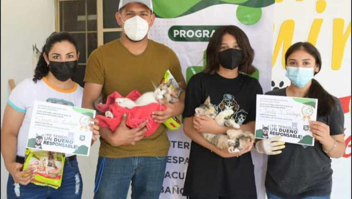 En ‘Bienestar Animal’ ofrecen esterilización gratuita para mascotas