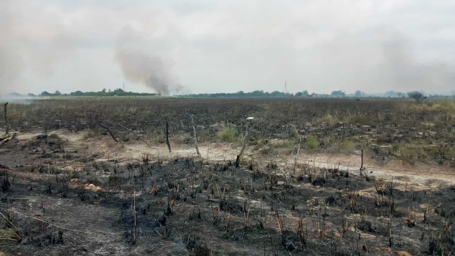 Sofoca PC y Bomberos incendio de automóvil abandonado en brecha
