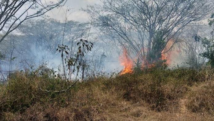 Hombre provocó incendio para quemar terrenos; Fallece al quedar atrapado