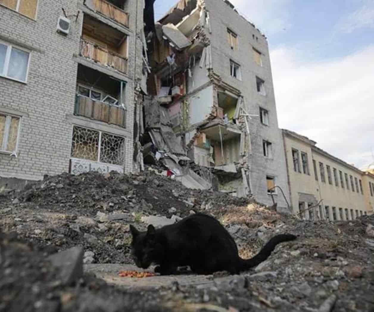 Rusia a perdido la mitad de su fuerzas en Lugansk; Asegura Ucrania