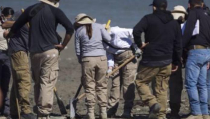 Encuentran 18 mil restos óseos en El Tubo, Nuevo León