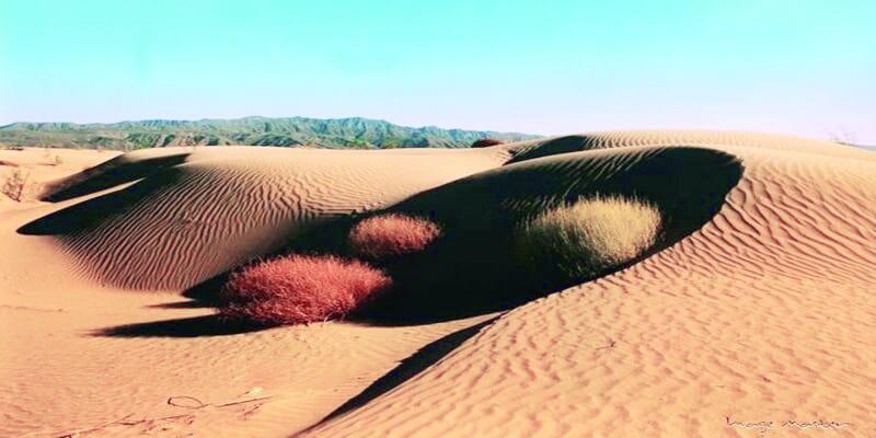 Las Dunas de Bilbao, en Viesca, son un atractivo natural de Coahuila.