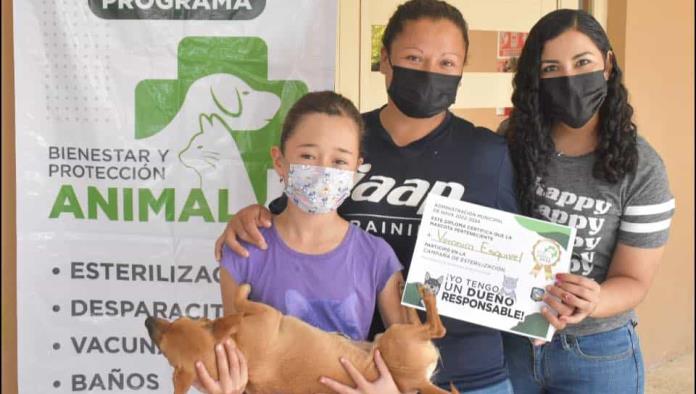 Un éxito campaña ‘Bienestar Animal’