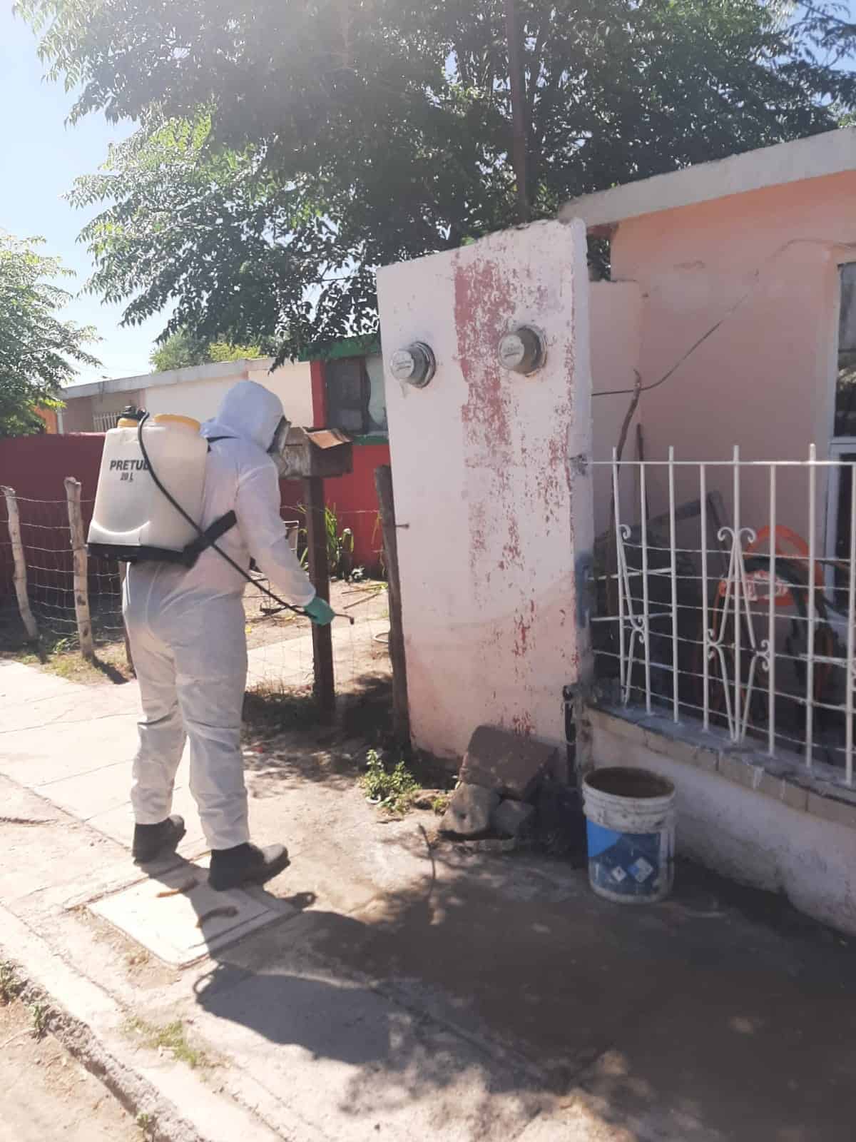 Atacan plaga de garrapatas en Zaragoza